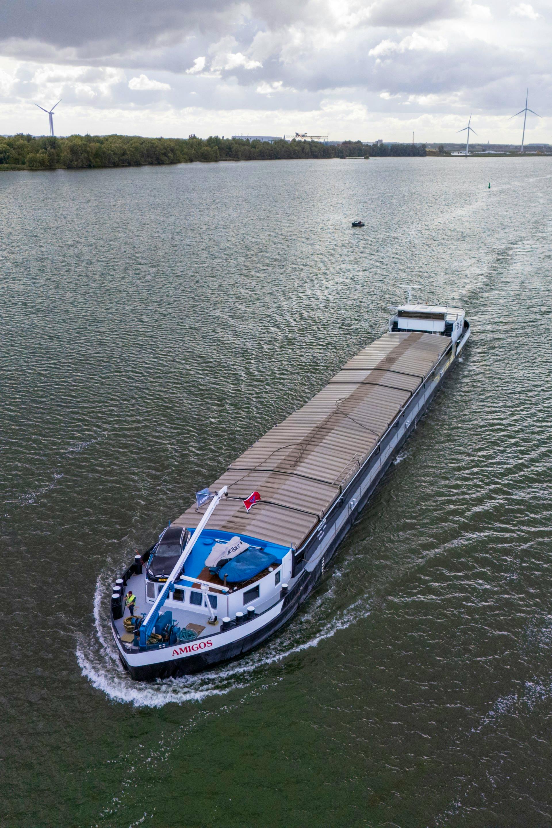 Amigos — thumbnail 4